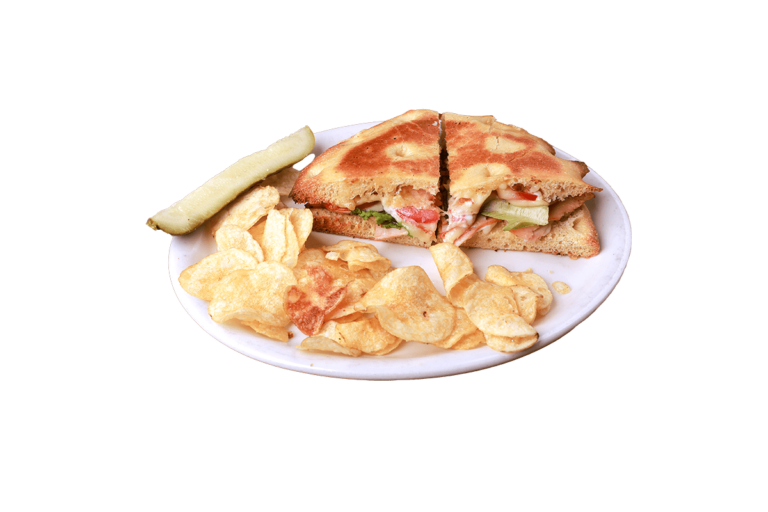 Turkey & Swiss Panini